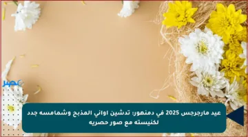 عيد مارجرجس 2025 في دمنهور: تدشين أواني المذبح وشمامسة جدد لكنيسته مع صور حصرية